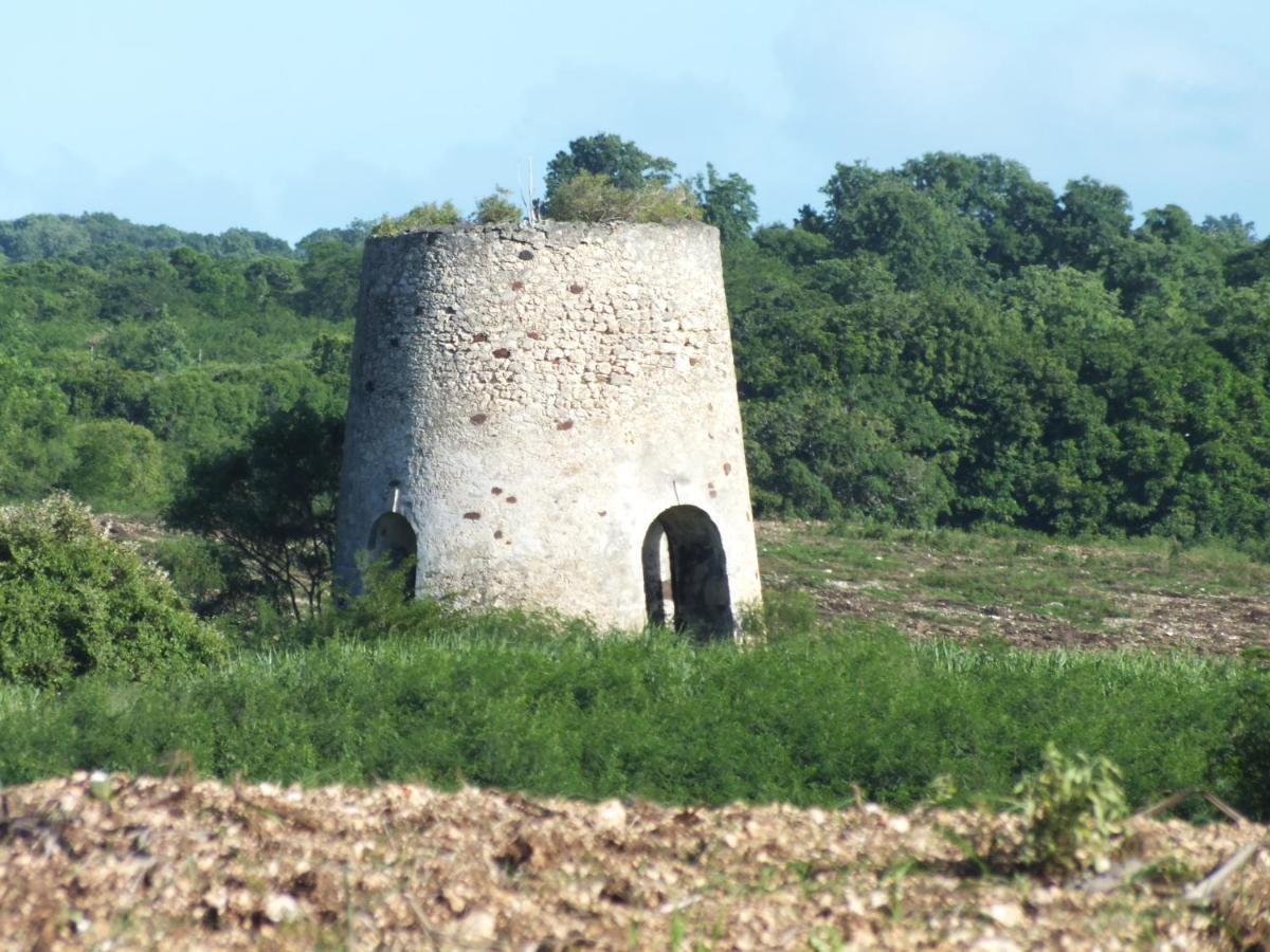 Villa Creolena Anse-Bertrand Exteriér fotografie