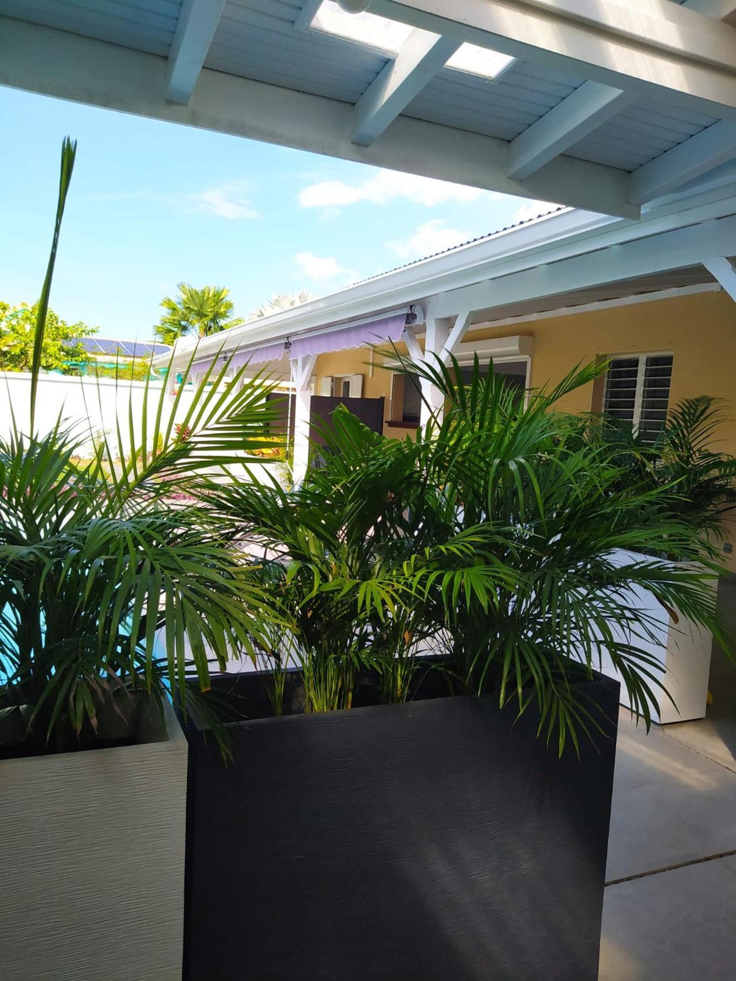 Villa Creolena Anse-Bertrand Exteriér fotografie